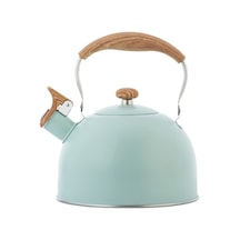 2.5l Islık Su Isıtıcısı Çay Isıtıcısı Paslanmaz Çelik Yeşil Su Isıtıcısı Su Kaynar