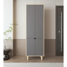 Safir - Antrasit