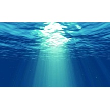 Kanki Pet 85 Cm Akvaryum Arka Fon Yapıştırma 85x50 Cm Kp8550029