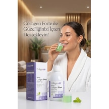Collagen Fort I_II_III_V_X Collagen Shot 500 ML