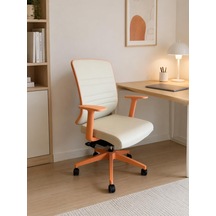 Spark Fine Ofis Sandalyesi Sırt Ergonomik Çalışma Koltuğu Diğer