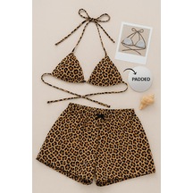 Leopar