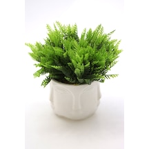 Buda Saksıda Yapay Mazı Bitki Tanzimi 20 Cm