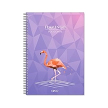 2018044/1 Polygonal Esnek Karton Kapak, Siyah Spiralli Renkli Kenar Boyama Çizgili Flamingo 103 Ivory