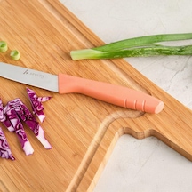 Aryıldız Primo Sebze Bıçağı Somon 11cm 301739
