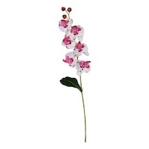 Ogc-0018 62 Cm 1 Adet Şeffaf