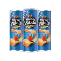 Master Potato Tuz Ve Sirke Soslu Cips 160 Gr 3 Adet