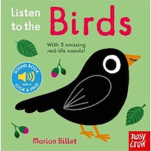 Nosy Crow Listen To The Birds Sesli Kitap