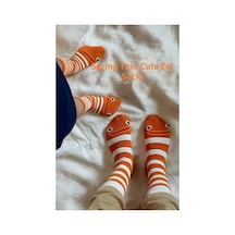 Hitit Socks Kadın 4 Çift Sevimli Yılan Balığı Desenli Ve Çizgili Uzun Soket Çorap Turuncu Çizgili