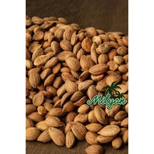 Yerli Acı Kayısı Çekirdeği İçi İşlem Görmemiş Katkısız 500 Gr Diğer
