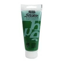 Pebeo Studio Akrilik Boya 100 Ml. 61 Green Earth