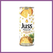 Bezos Juss Ananas Patçacıklı 250 Ml 4 Adet Rengaren