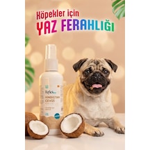 Reflex Care Hindistan Cevizi Kokulu Köpek Kolonyası 125 Ml