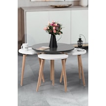 Pissa / Orta Sehpa / Sehpa Seti / Sehpa Takımı / 5 Parçalı Sehpa Seti