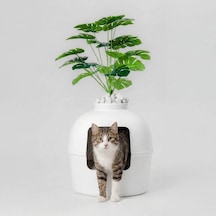 Missidea Dekorapet Dekoratif Kedi Tuvaleti Beyaz