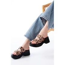 Leopar