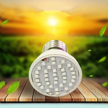 E27 5w 60 Led 2835 Smd Grow Ampul Lamba Bahçe Tesisi Çiçekli Hidroponik E27 80leds