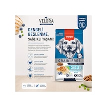 Tahılsız Tavuklu Yetişkin Köpek Maması 1,5 Kg Yüksek Proteinli Premium Tam Besleyici Mama - 886843952
