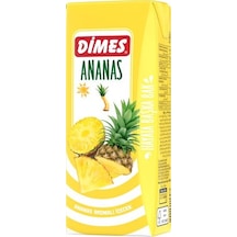 Dimes Ananas Suyu 200 ML