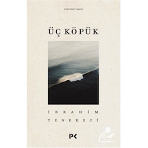 Üç Köpük - İbrahim Tenekeci - Profil Kitap
