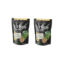 Dondurularak Kurutulmuş Ananas Dilimleri 20 Gram 2'li Paket
