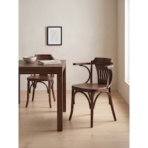Thonet Klasik Ahşap Sandalye Ceviz