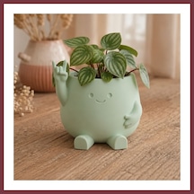 Storeşahin 3d Baskı Smiley Face Planter - Gülümseyen Karakterli Saksı-mint Shn0720