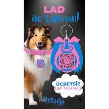Petjoo 23.Lad Mavi-Pembe Qr'lı Köpek Künyesi