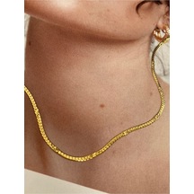 Pinery Jewels 2 Mm İtalyan Zincir Paslanmaz Çelik Kadın Gold Kolye Altın