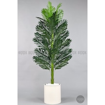 Yapay Areka Ağaci 160 Cm Krem Metal Saksıda Tek Gövdeli