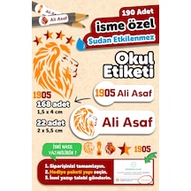 Çok Renkli
