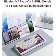 Aula Au75 3 Modlu Rgb Hot Swap Mekanik Tkl Seiya Switch Kablosuz Makrolu Klavye Siyah