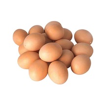Kahverengi