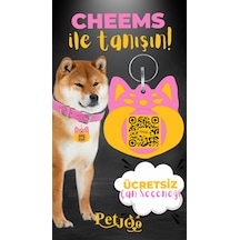 Petjoo 18.Cheems Sarı-Pembe Qr'lı Köpek Künyesi