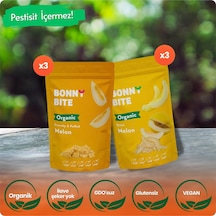 Organik Çıtır Kavun & Kurutulmuş Kavun 6'lı Paketi Diğer