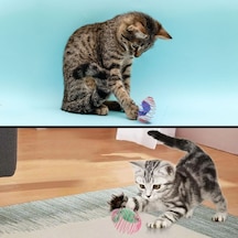 Büro Ev Evcil Hayvanı İçin Yaylı Metal Fareli Kafes Sıçrayan Spiral Kedi Topu