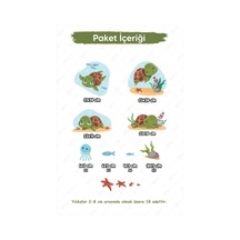 Sevimli Kaplumbağalar Ve Deniz Canlıları Çocuk Bebek Odası Duvar Cam Dolap Sticker Seti