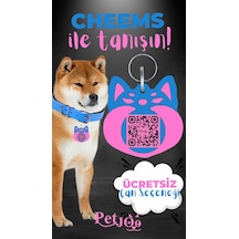 Petjoo 18.Cheems Pembe-Mavi Qr'lı Köpek Künyesi