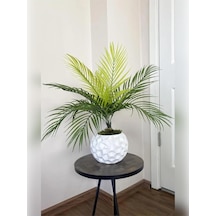 Ayrex Yapay Çiçek Palmiye Demeti 9 Dallı Areka Yapay Bitki Salon Çiçeği 9 Yaprak 50cm Saksı Dahil Değildir Diğer