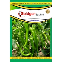 Goldgen Demre Biber Tohumu 1 Paket