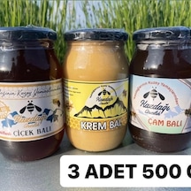 Kazdağı Lezzet Serisi Çiçek Balı + Çam Balı + Krem Bal 3 x 500 G