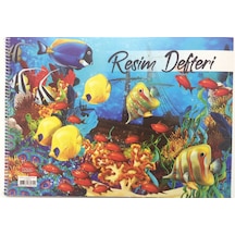 Resim Defteri 15 Yaprak Orta Boy Spiralli Telli 25x35