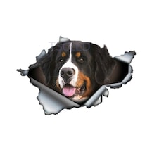 Bernese Dağ Köpeği Yırtık Metal Araba Sticker Su Geçirmez