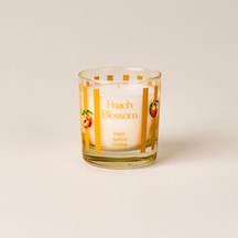 Deco Peach Blossom Bardak Mum - Renkli - 190 Gr Çok Renkli