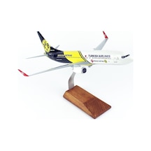 Thy051 1/100 Ölçek, Thy Borissia Dortmund Logolu B737-800 Yolcu Uçağı, Sergilemeye Hazır Ahşap Standlı Model-56300