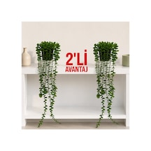 2'li Modern Saksı Yapay Sarkıt Çiçek Okaliptus Ev Dekoru Yeşil Yeşil