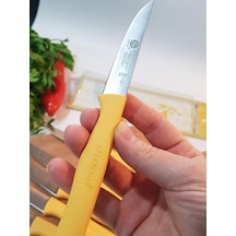 Sürbisa Meyve Takımı Sarı 6'lı 61007 7.0 Cm Çok Renkli