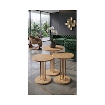 3'lü Yuvarlak Modern Sehpa Altay Gold - Çam Çok Renkli
