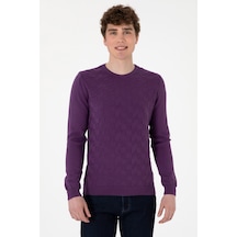 U.S. Polo Assn. Erkek Mor Basic Kazak