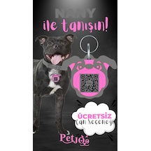 Petjoo 17.Nany Pembe-Gri Qr'lı Köpek Künyesi